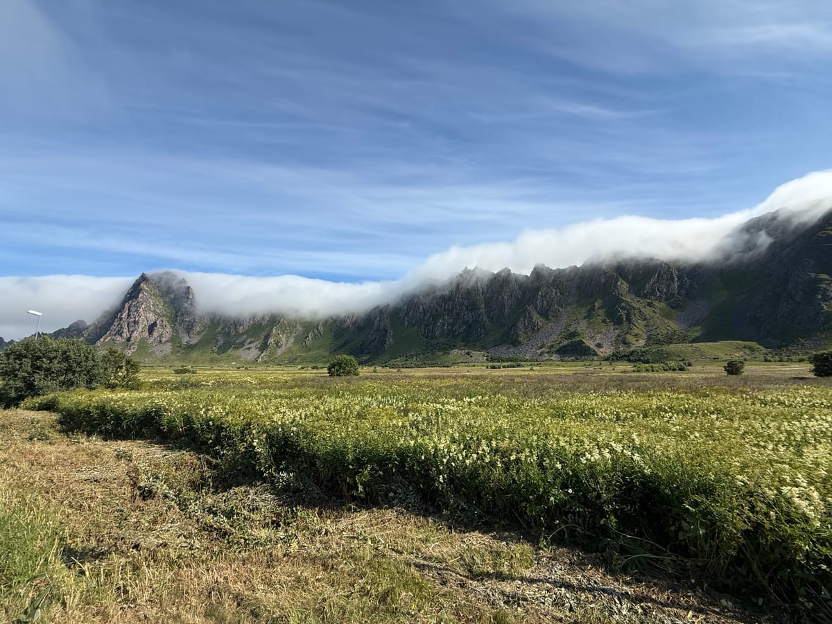 Andenes