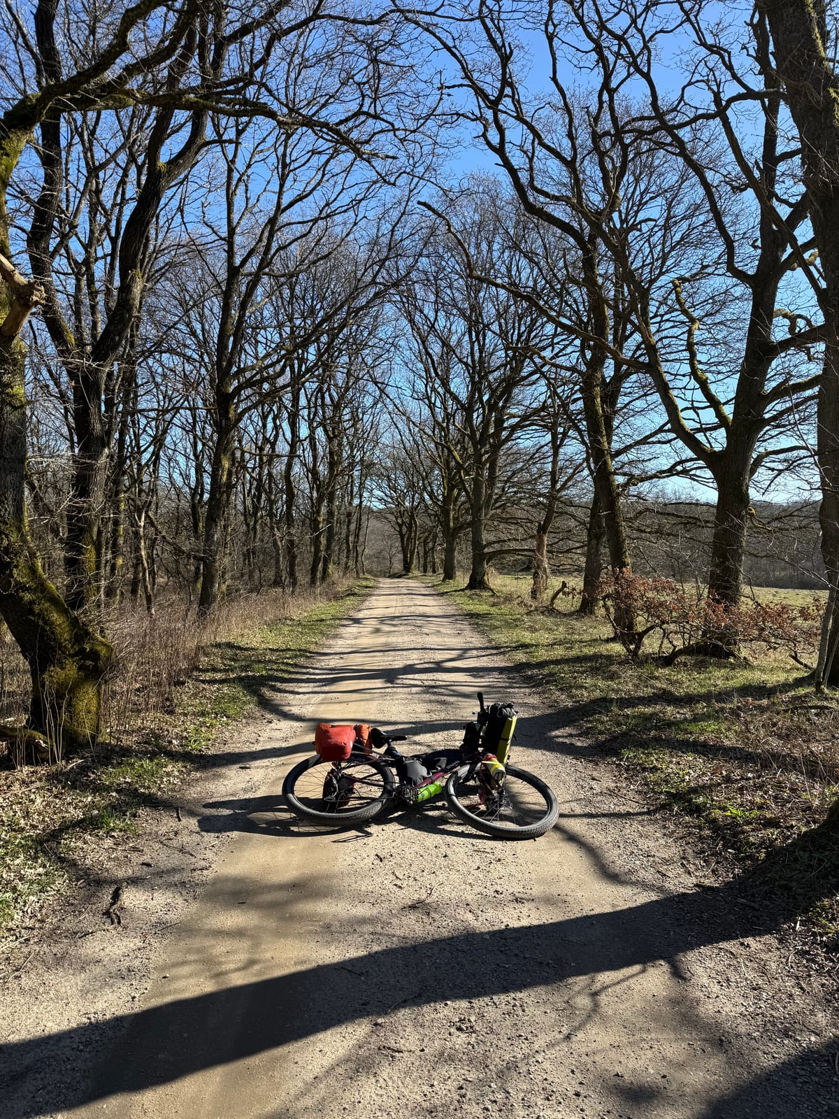 55°43′10′′ N 9°19′25′′ E